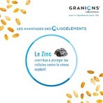 Granions Prostata 40 Gelule Granions Prostata 40 Gelule