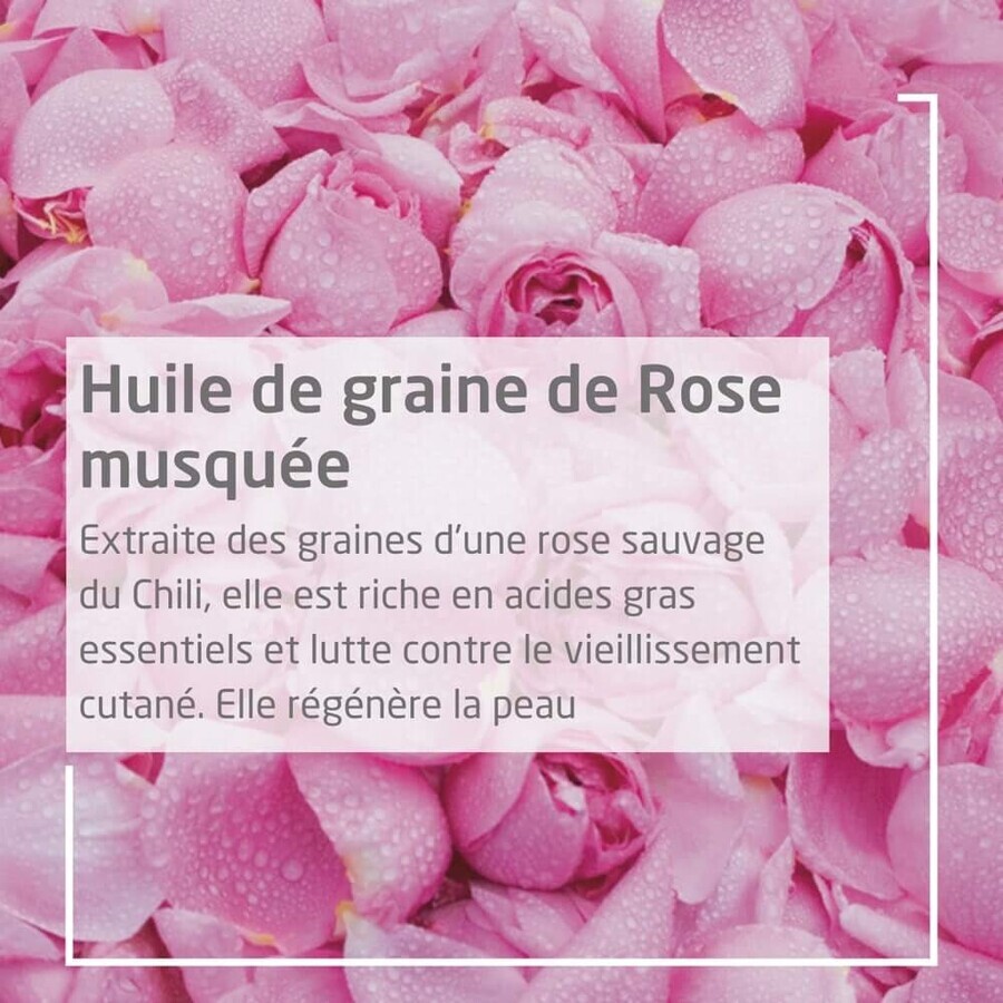 Weleda Olio armonizzante Rosa mosqueta 100ml