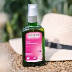 Weleda Olio armonizzante Rosa mosqueta 100ml Weleda Olio armonizzante Rosa mosqueta 100ml