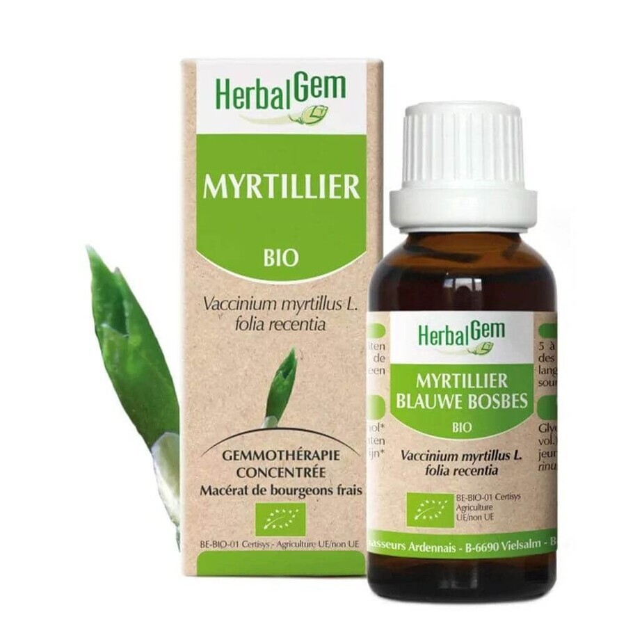 Herbalgem Bourgeons Bosbes 30ml