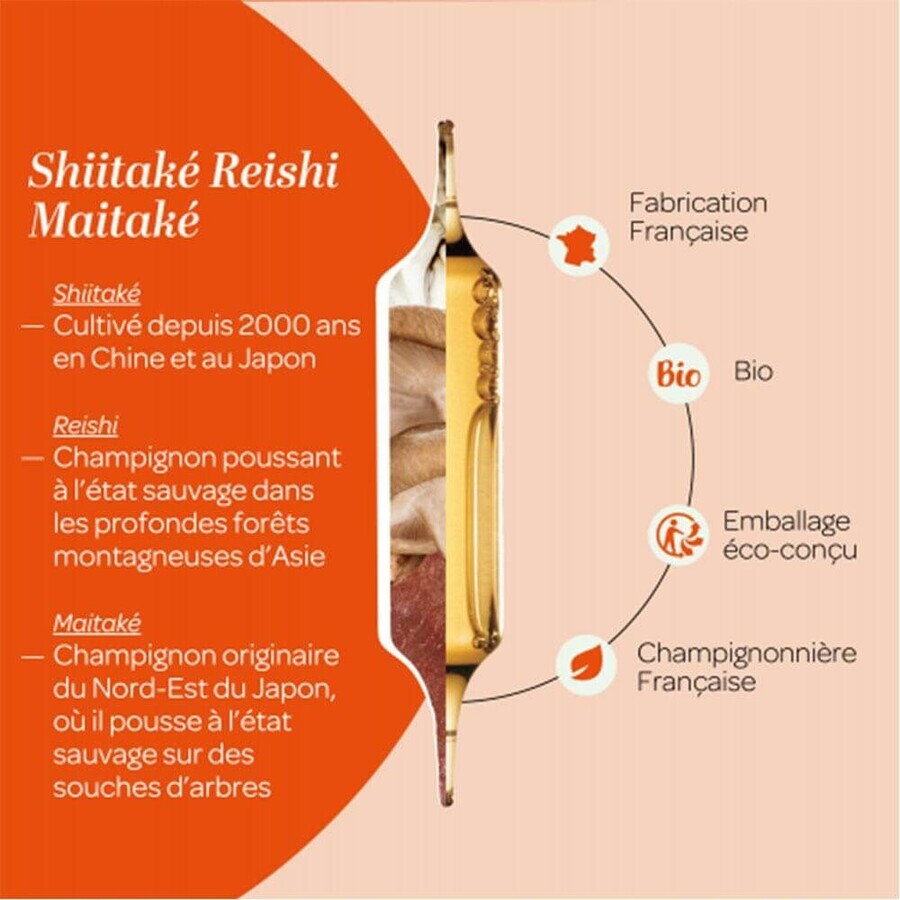 Superdiet Shiitake Ecológico 20 Ampollas Superdiet Shiitake Ecológico 20 Ampollas