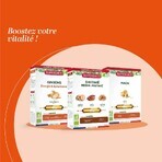 Superdiet Shiitake Ecológico 20 Ampollas