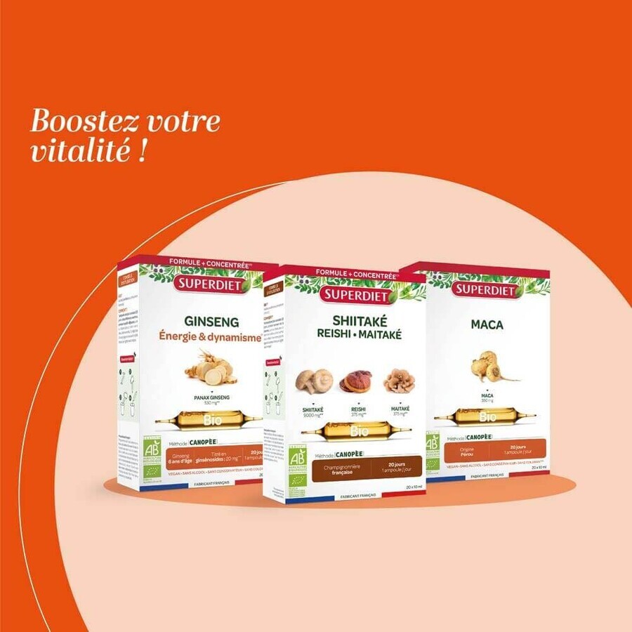 Superdiet Shiitake Ecológico 20 Ampollas Superdiet Shiitake Ecológico 20 Ampollas