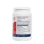 Oemine Krill Hart en Visie 80 Capsules Oemine Krill Hart en Visie 80 Capsules