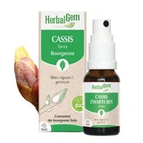 Herbalgem Bourgeons Grosella Negra Spray Bio 15ml
