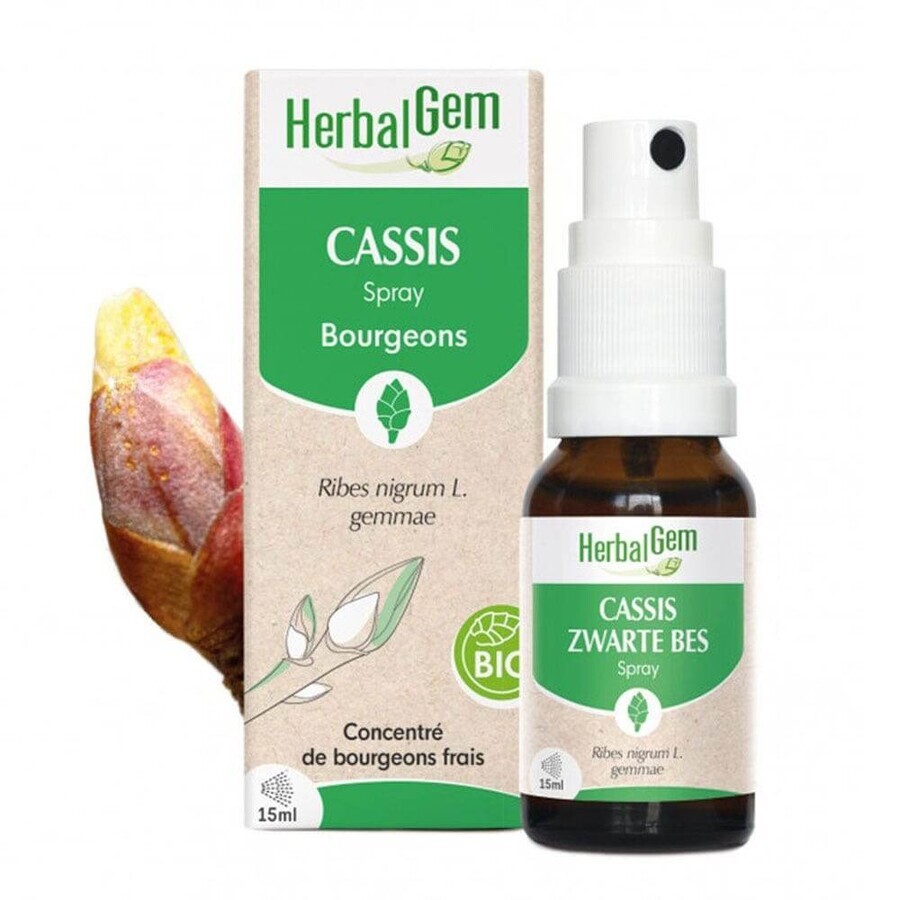Herbalgem Bourgeons Cassis Spray Bio 15ml