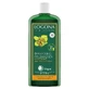 Logona Reflex Kleurshampoo met Hazelnoot 250ml