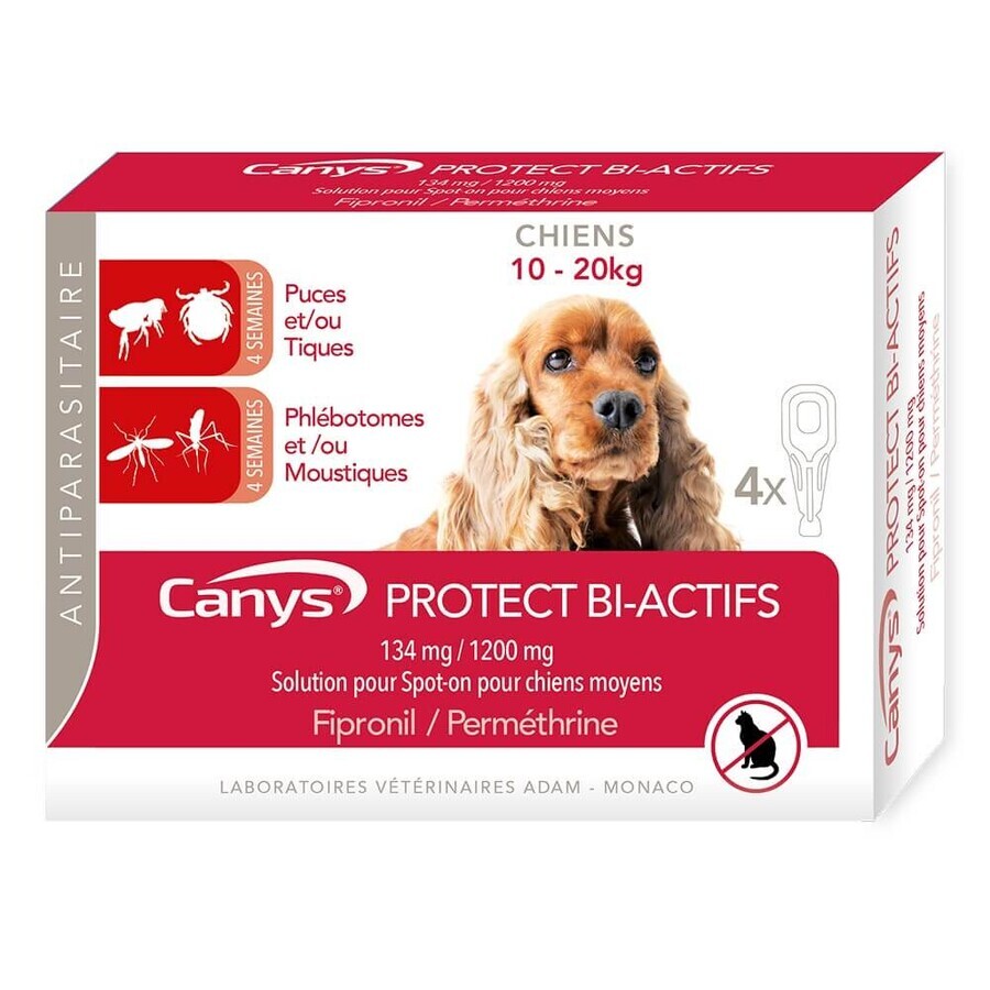 Cumpără Canys Protect Bi-actifs 134 mg/1200 mg soluție pentru câini (10-20 kg) 4x2.20ml Canys Protect Bi-actifs 134 mg/1200 mg soluție pentru câini (10-20 kg) 4x2.20ml