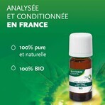Phytosun Aroms Tea Trea Bio etherische olie 10ml