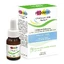 Pediakid Colicillus Bebe met doseerpipet 8ml