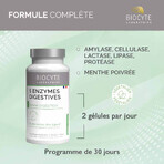 Biocyte Longevity 5 Verdauungsenzyme 60 Kapseln Biocyte Longevity 5 Verdauungsenzyme 60 Kapseln