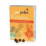 Propolia Gum Propolis Agave Syrup Ginger and Lemon Organic 45g