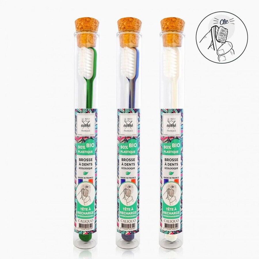 Shop Le Petit Carré Français Nachfüllbare Zahnbürste aus Biokunststoff 1 Stück Le Petit Carré Français Nachfüllbare Zahnbürste aus Biokunststoff 1 Stück