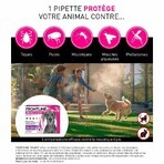 Frontline Tri-act Spot-on Hund 20-40 kg 3 Pipetten à 4 ml Frontline Tri-act Spot-on Hund 20-40 kg 3 Pipetten à 4 ml