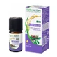 Naturactive Huile Essentielle Bio Giroflier 5 ml