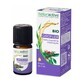 Naturactive Clove essential oil Bio 5 ml