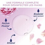 Baccide Gel Mains Désinfectant Hydroalcoolique Pivoine Peaux sensibles 300ml Baccide Gel Mains Désinfectant Hydroalcoolique Pivoine Peaux sensibles 300ml