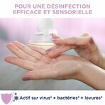 Baccide Gel Mains Désinfectant Hydroalcoolique Pivoine Peaux sensibles 300ml Baccide Gel Mains Désinfectant Hydroalcoolique Pivoine Peaux sensibles 300ml