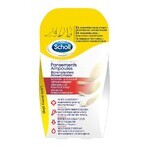 Scholl Pansements Ampoules Différentes Tailles Pour Talons et Orteils x5 Scholl Pansements Ampoules Différentes Tailles Pour Talons et Orteils x5