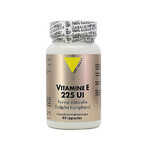 Vit'All+ Vitamine E 225UI 60 capsules Vit'All+ Vitamine E 225UI 60 capsules