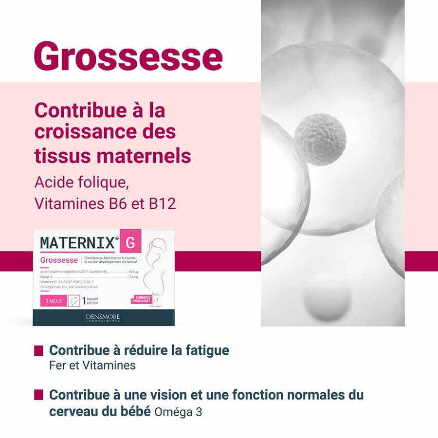 Densmore Maternix G Grossesse 90 Capsules