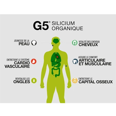 Silizium Organique G5 Silizium Bio Llr-g5 1l