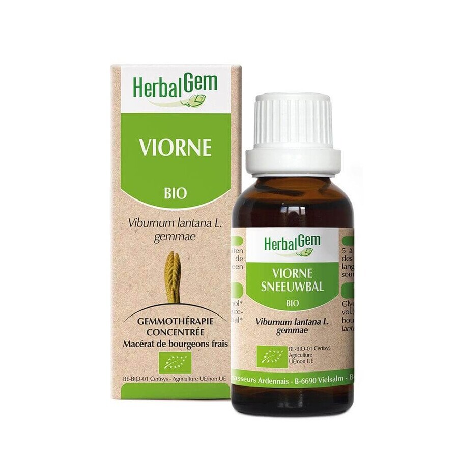 Acquista Herbalgem Viorne Bio 30ml Herbalgem Viorne Bio 30ml