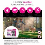 Frontline Tri-act Spot-on Hund 20-40kg 6 4ml Pipetten Frontline Tri-act Spot-on Hund 20-40kg 6 4ml Pipetten
