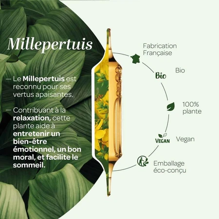 Superdiet Sint-Janskruid Biologisch Goed moreel 20 flacons Bien-Être Émotionnel 15 ml