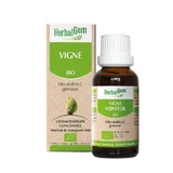 Herbalgem Organic Grapevine 30ml