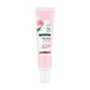 Klorane Peony Rich and soothing organic cream for sensitive and dry skin 40 ml