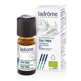 Ladrôme Bio Teebaum ätherisches Öl 10ml