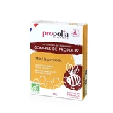 Propolis Honey Propolis gum Nature&Bio 45 g