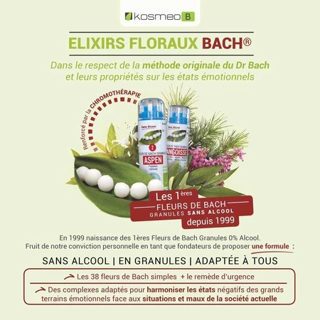 Kosmeo COMPLETE BACH BIO NIGHT AGITEE GRANULES 120 gránulos