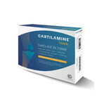 Effi Science Cartilamine 1500 30 comprimidos Effi Science Cartilamine 1500 30 comprimidos