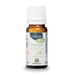 Neobulle Tout Pur Difusor Sinergia 10ml