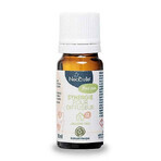 Neobulle Tout Pur Verstuiver Synergie 10ml Neobulle Tout Pur Verstuiver Synergie 10ml