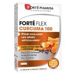 Forté Pharma Forté Flex Dolore articolare curcuma 100 15 capsule Forté Pharma Forté Flex Dolore articolare curcuma 100 15 capsule