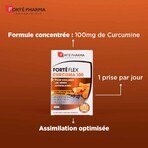 Forté Pharma Forté Flex Dolore articolare curcuma 100 15 capsule Forté Pharma Forté Flex Dolore articolare curcuma 100 15 capsule