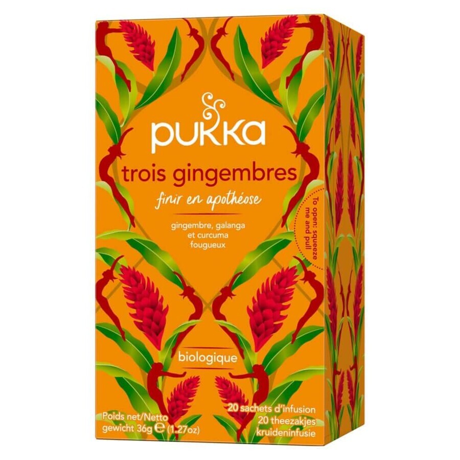 Pukka Infusion Bio 3 Gingembres 20 sachets
