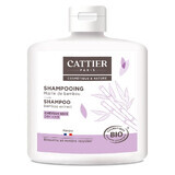 Cattier Shampoo Capelli secchi al midollo di bambù Bio 250ml