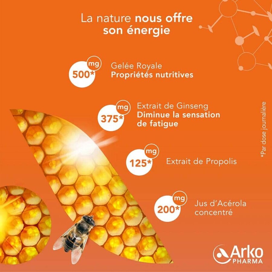 Arkopharma Arkoroyal Dynergie Bio Dinamizante y Estimulante 20 ampollas