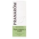 Pranarôm Essential Oils Essential oil of thyme vulgaris flower head linalool 30 ml