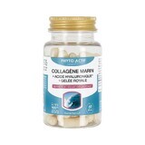 Phyto-Actif Collagène marin + acide hyaluronique + gelée royale 60 gélules