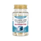Phyto-Actif Marine Collageen + Hyaluronzuur + Koninginnengelei 60 capsules