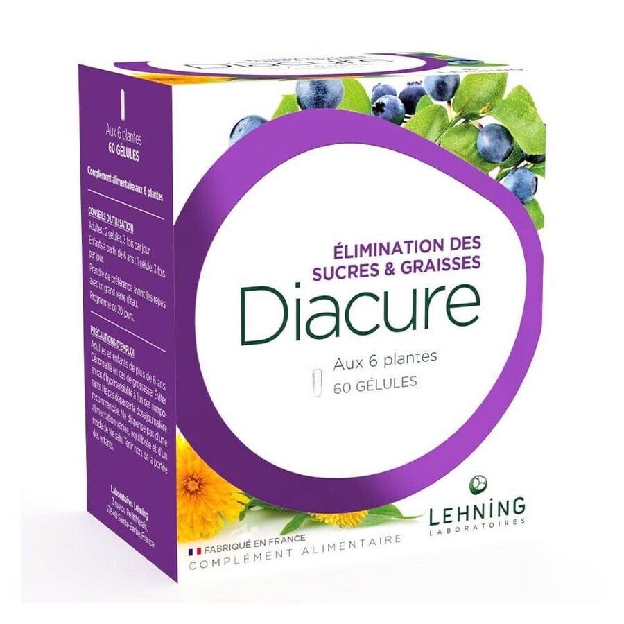 Buy Lehning Diacure x60 Capsules Lehning Diacure x60 Capsules