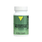 Vit'All+ Magneziu clorofilă 60 capsule vegetariene Vit'All+ Magneziu clorofilă 60 capsule vegetariene