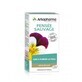 Arkopharma Arkocapsule Pensee Sauvage 45 Gelules Arkogelules