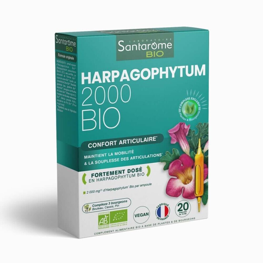 Shop Santarome Harpagophytum 2000 20 Ampullen Bio Douleurs articulaires 20 Ampullen Santarome Harpagophytum 2000 20 Ampullen Bio Douleurs articulaires 20 Ampullen
