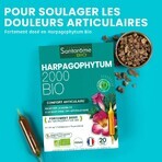 Santarome Harpagophytum 2000 20 Ampullen Bio Douleurs articulaires 20 Ampullen